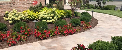 Landscape bed renovation with seasonal flowers near Omaha, Nebraska.